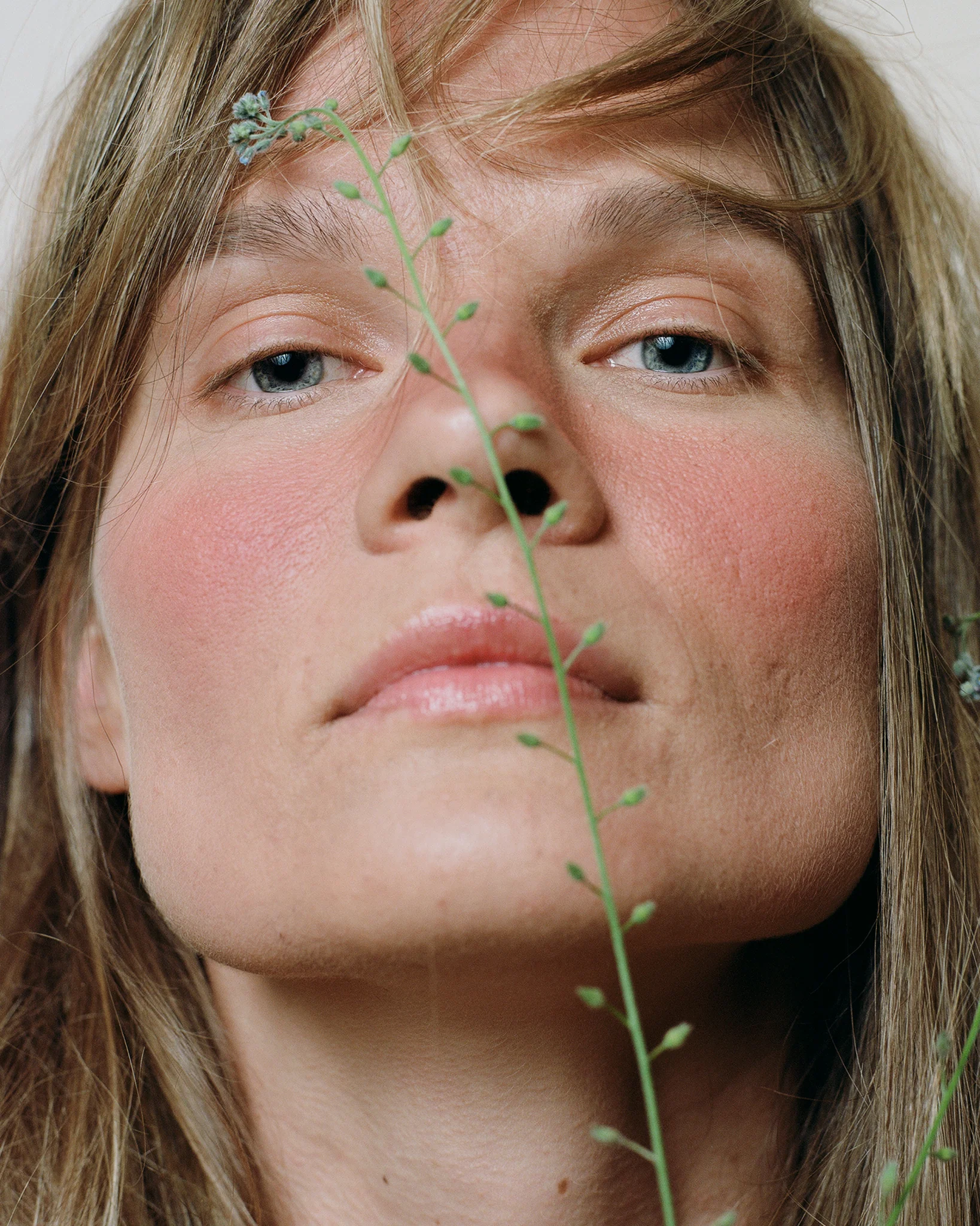 Mineral Cheek Blusher - Image 8