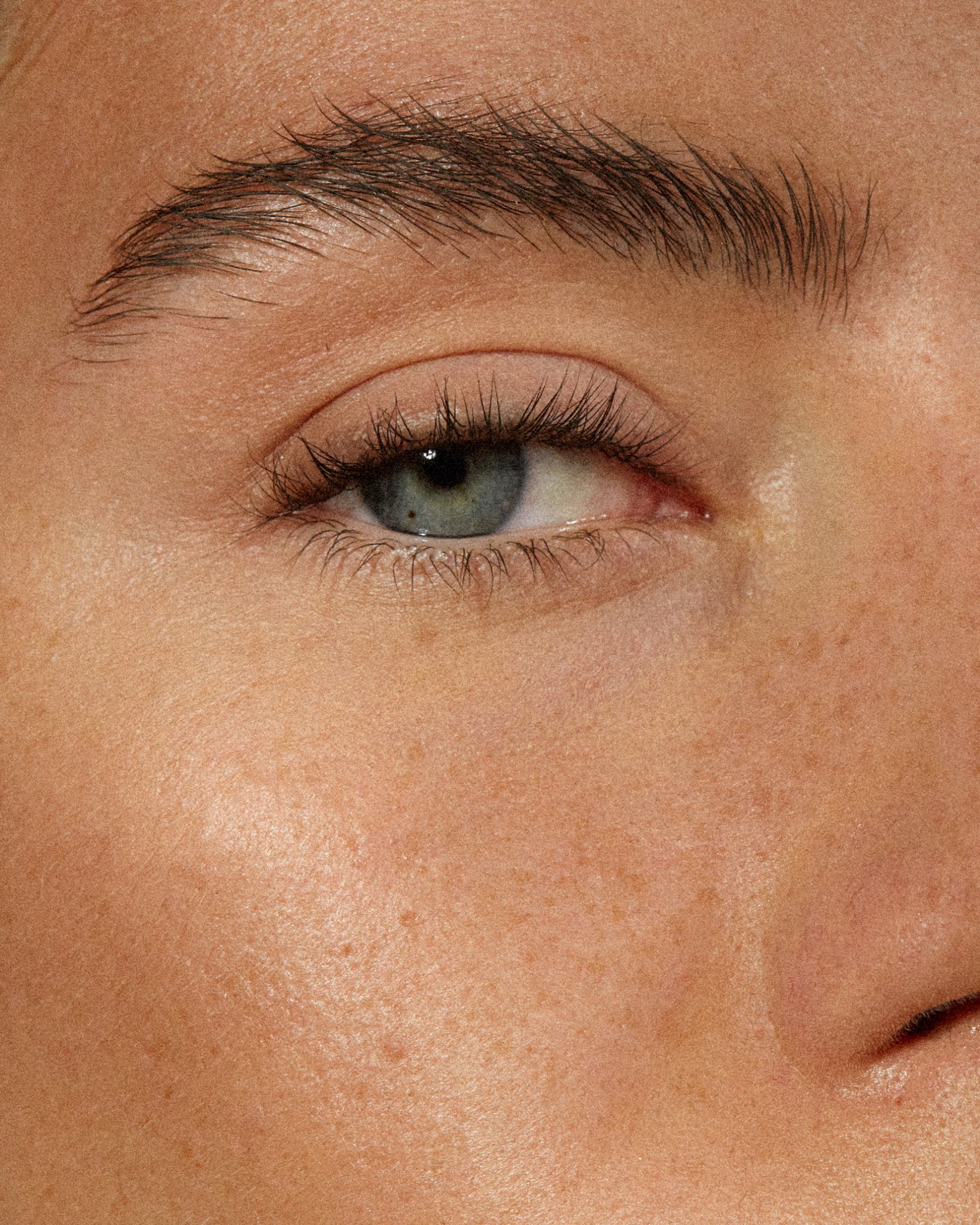 The Brow Pencil - Image 8