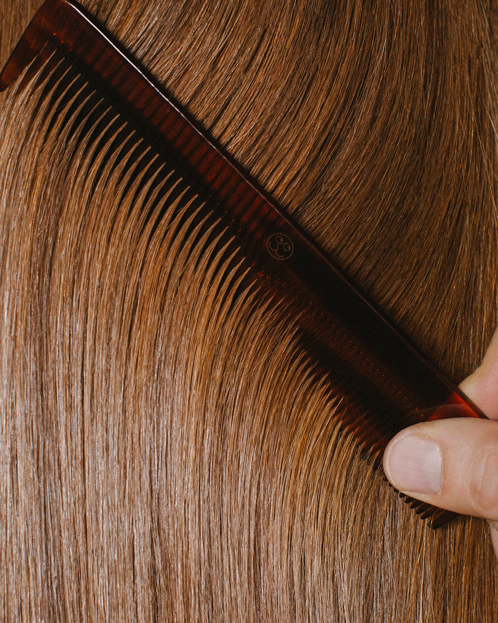 Travel Size 3-Step Hair Care Routine for Fuller, Stronger Hair - Image 2
