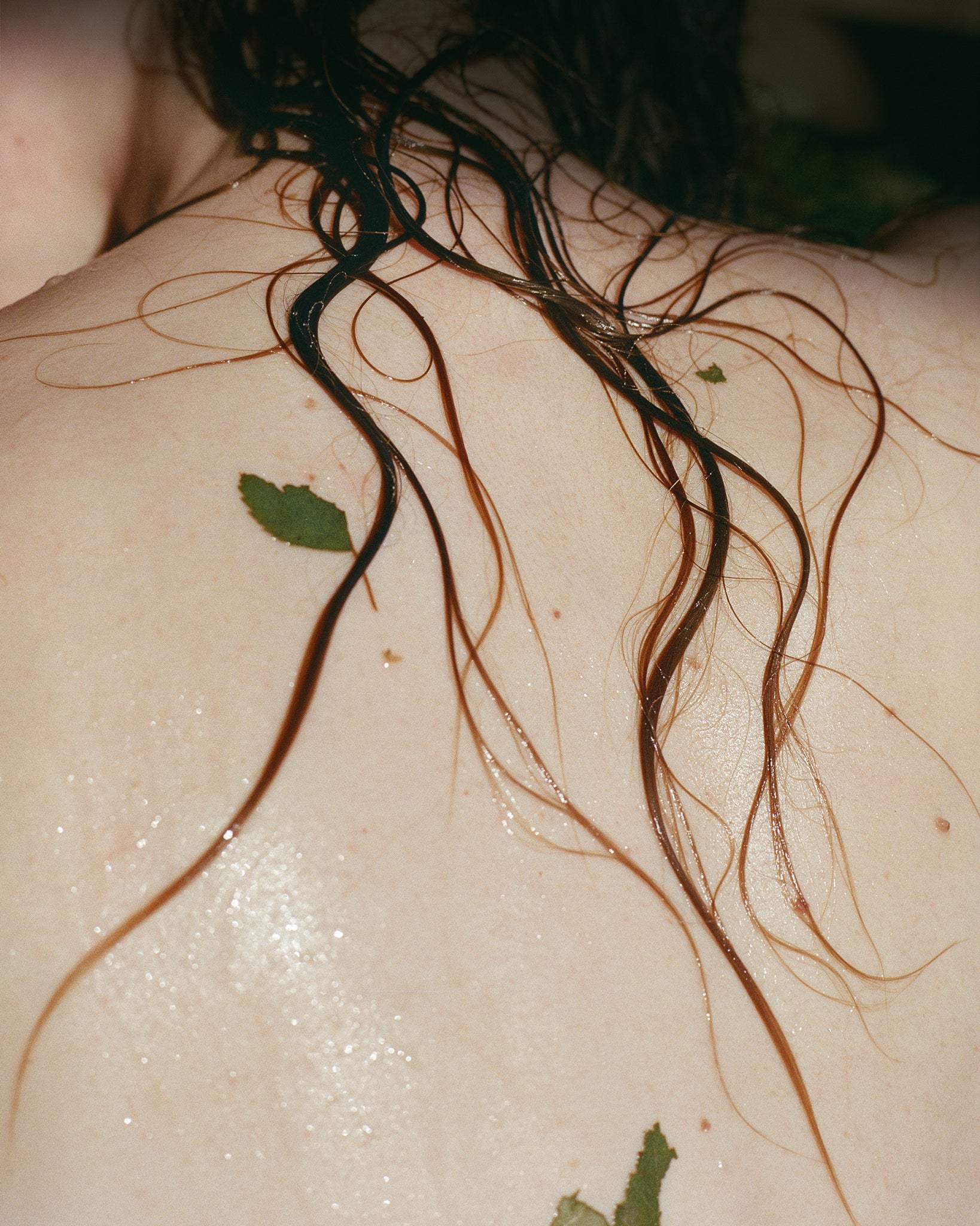 Wild Woods Moisture Wash - Image 4